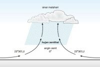 √ Jenis Hujan : Pengertian, jenis, Manfaat dan Proses Terjadinya