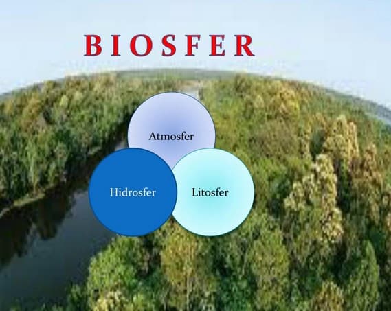 √ Biosfer : Pengertian, Macam, Komponen, Ciri dan Contohnya
