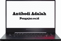 antibodi-adalah
