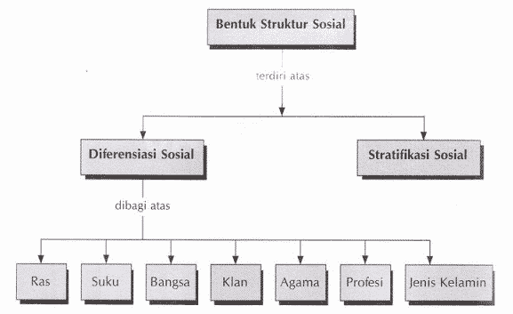 Struktur Sosial