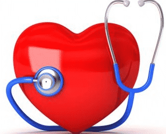 Jantung: Pengertian, Letak dan Ukuran, Sifat Otot, & Fungsi