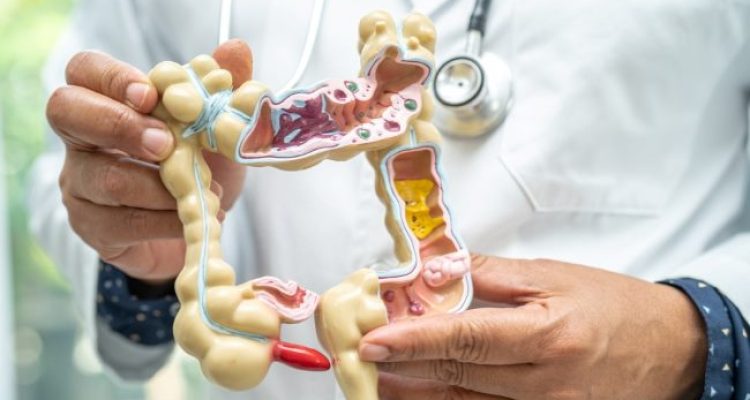 Anus Adalah: Pengertian, Struktur, dan Fungsinya dalam Sistem Pencernaan Manusia