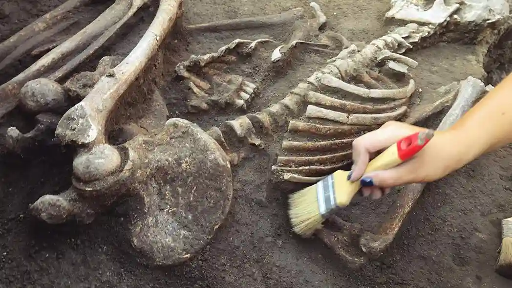 Artefak Adalah: Jejak Nyata Peradaban Manusia yang Tak Lekang oleh Waktu