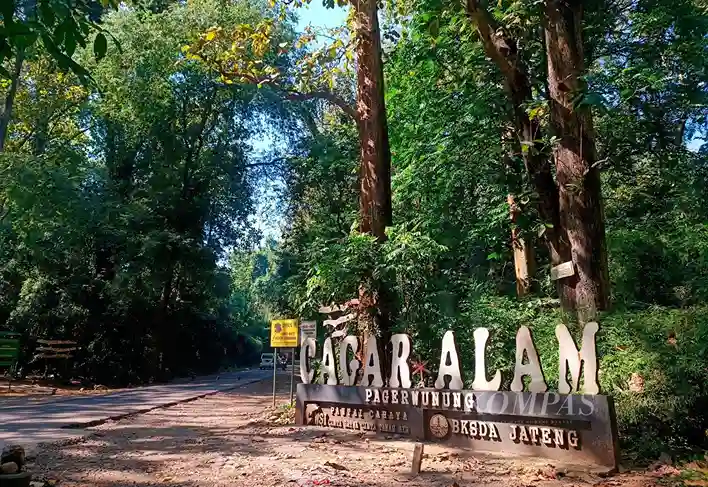 Cagar Alam Adalah: Benteng Terakhir Alam Indonesia dan Warisan Kehidupan