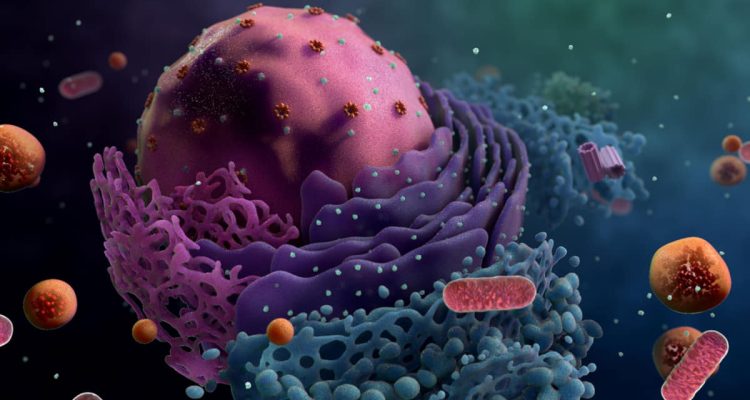 Fungsi Lisosom: Organ Kecil dalam Sel yang Berperan Besar bagi Kehidupan