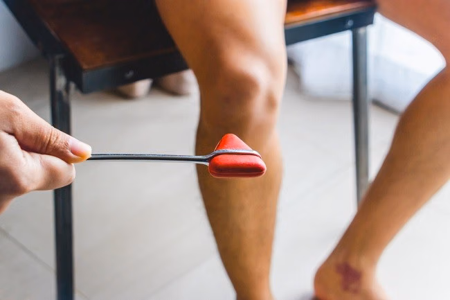 Gerak Refleks, Respons Cepat Tubuh yang Bekerja Tanpa Kita Sadari