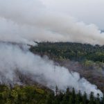 Kebakaran Hutan Kalimantan, Mengapa Terjadi dan Apa Akibatnya?