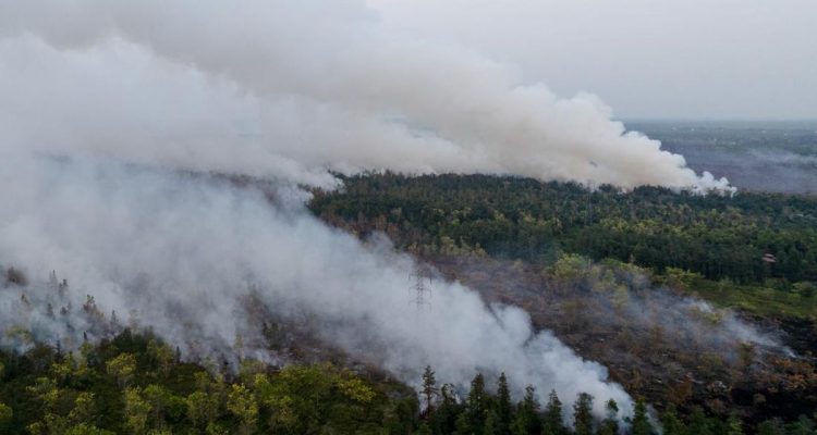Kebakaran Hutan Kalimantan, Mengapa Terjadi dan Apa Akibatnya?