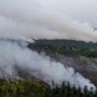 Kebakaran Hutan Kalimantan, Mengapa Terjadi dan Apa Akibatnya?